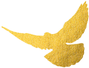 重磅升級(jí)！中為檢驗(yàn)完成CNAS擴(kuò)項(xiàng)(圖2)